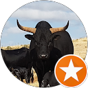 Du Preez Familie Trust profile picture